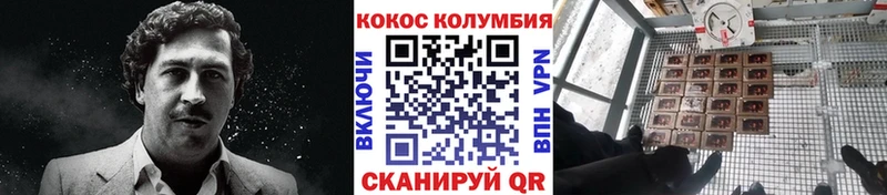 как найти закладки  кракен tor  Cocaine Перу  Кириллов 