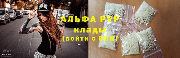 индика Зеленокумск