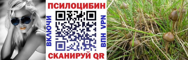 Галлюциногенные грибы мицелий  Кириллов 