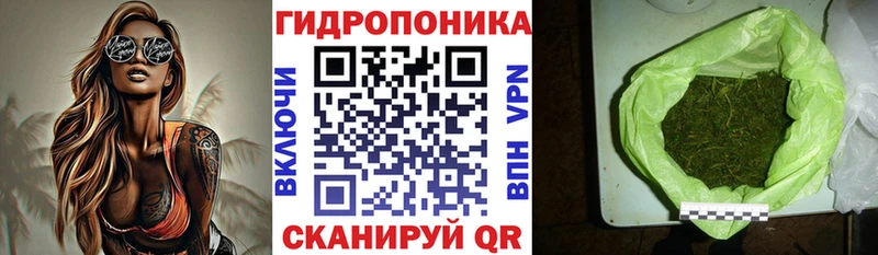 купить закладку  KRAKEN рабочий сайт  Бошки Шишки LSD WEED  Кириллов 